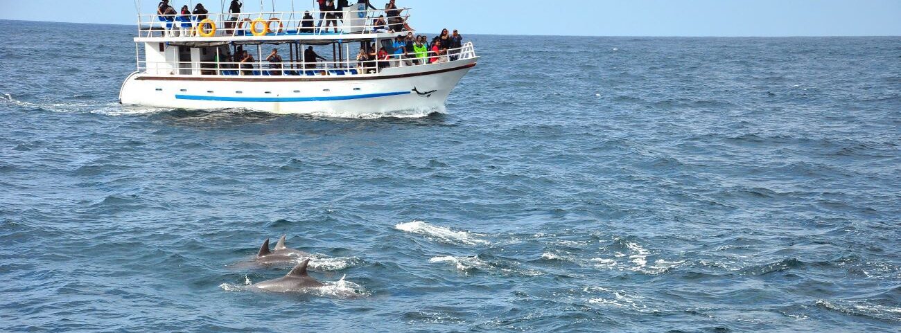 Egmont Key Boat Tours From Anna Maria Island
