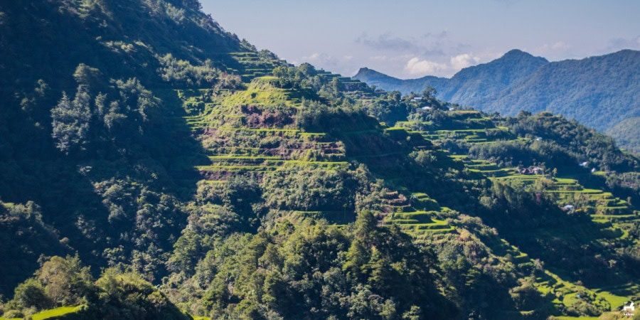 The Hanging Rice Terraces Viewpoint