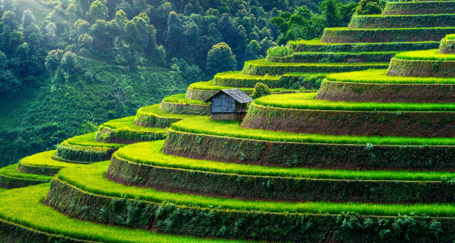 Padjao Rice Terraces