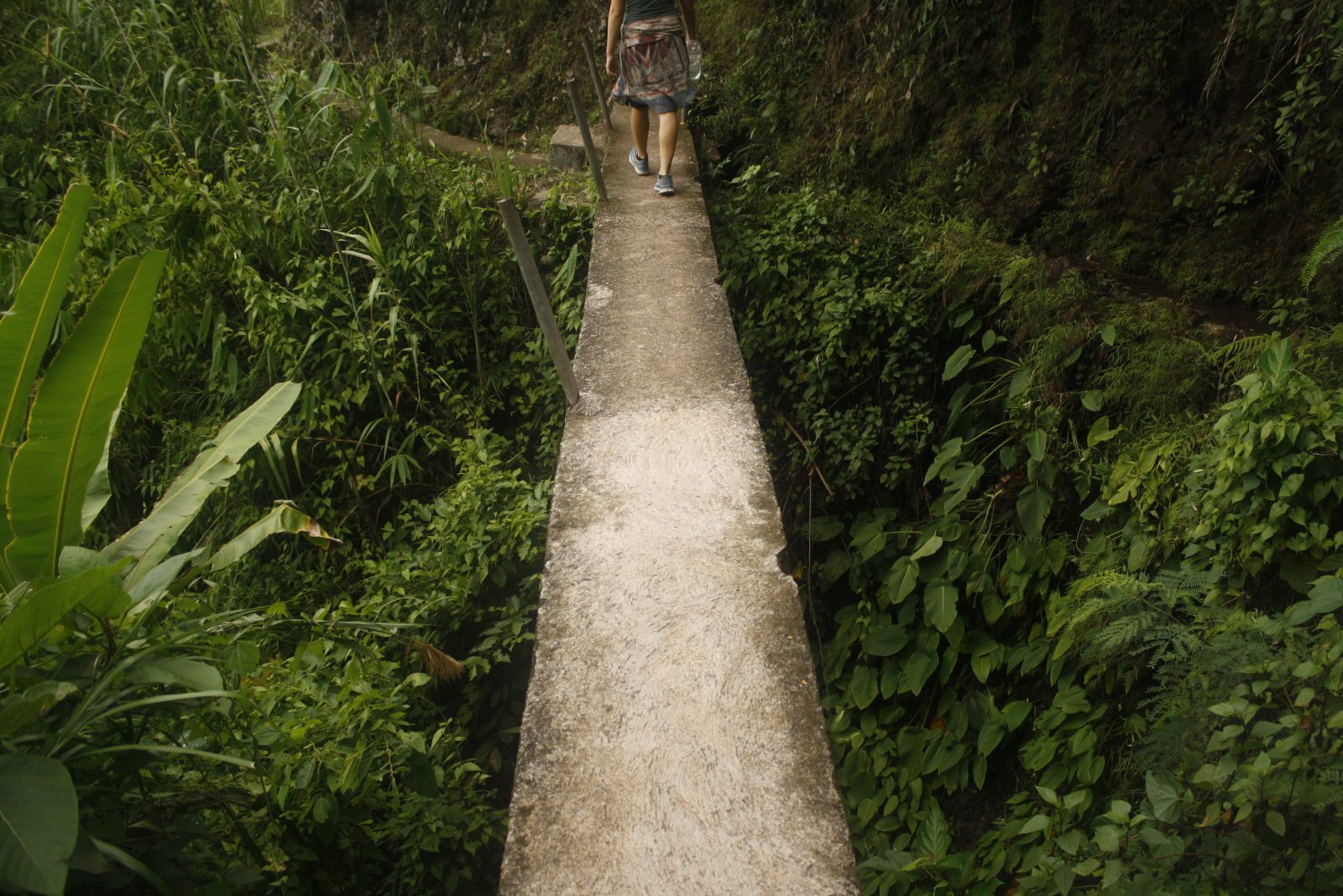 The Stone Pathways