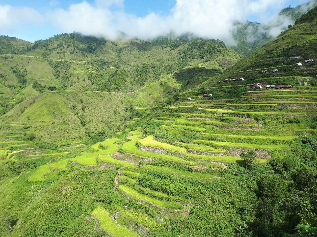 Village Viewpoint