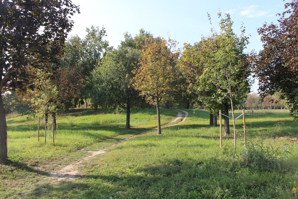 Parco Enzo Ferrari