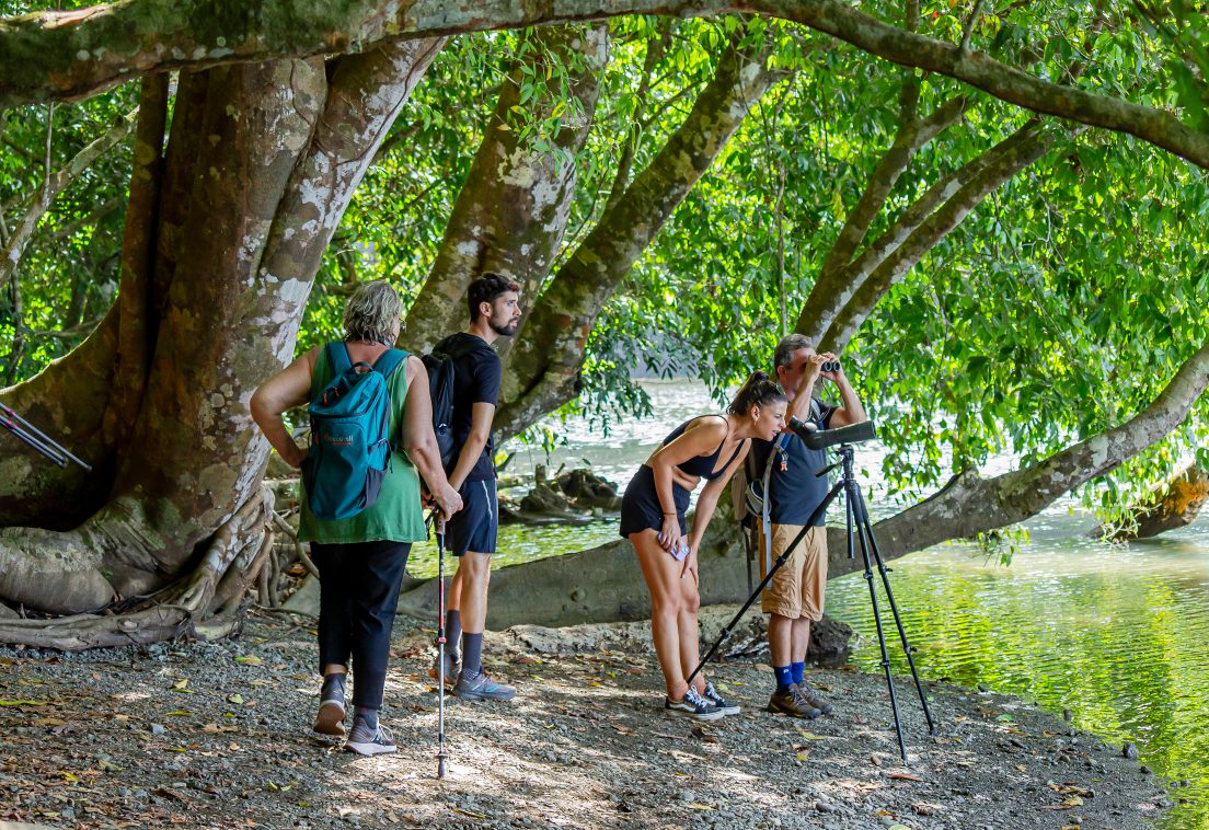 Corcovado Day Trip From Puerto Jimenez