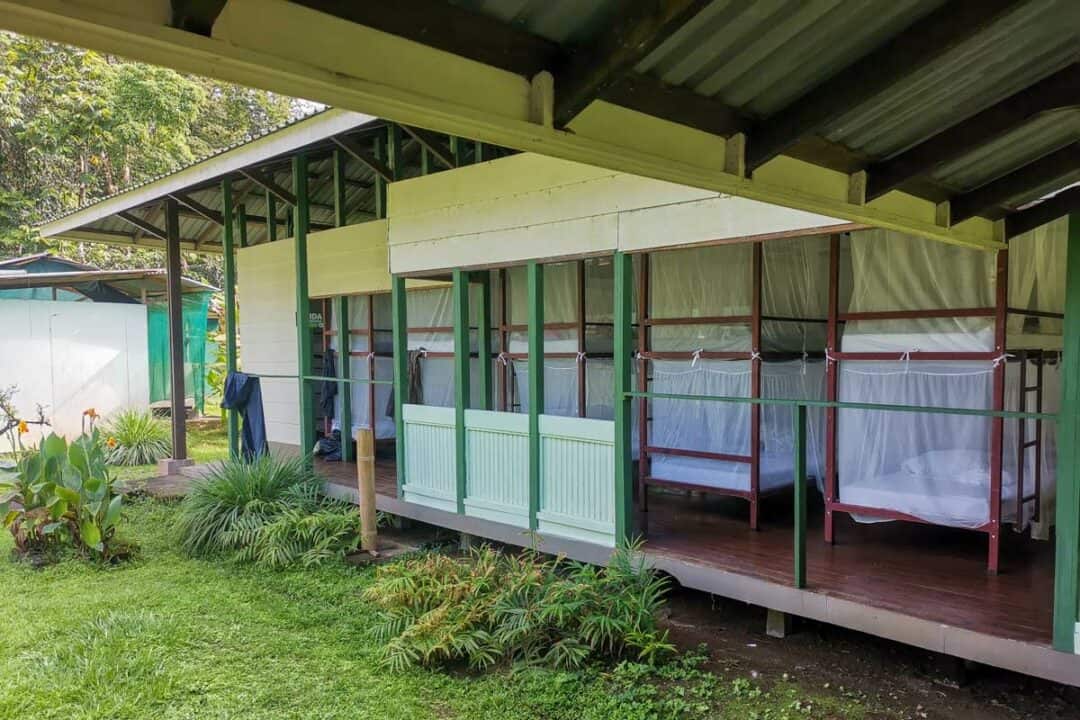 Corcovado Overnight Tour From Puerto Jimenez