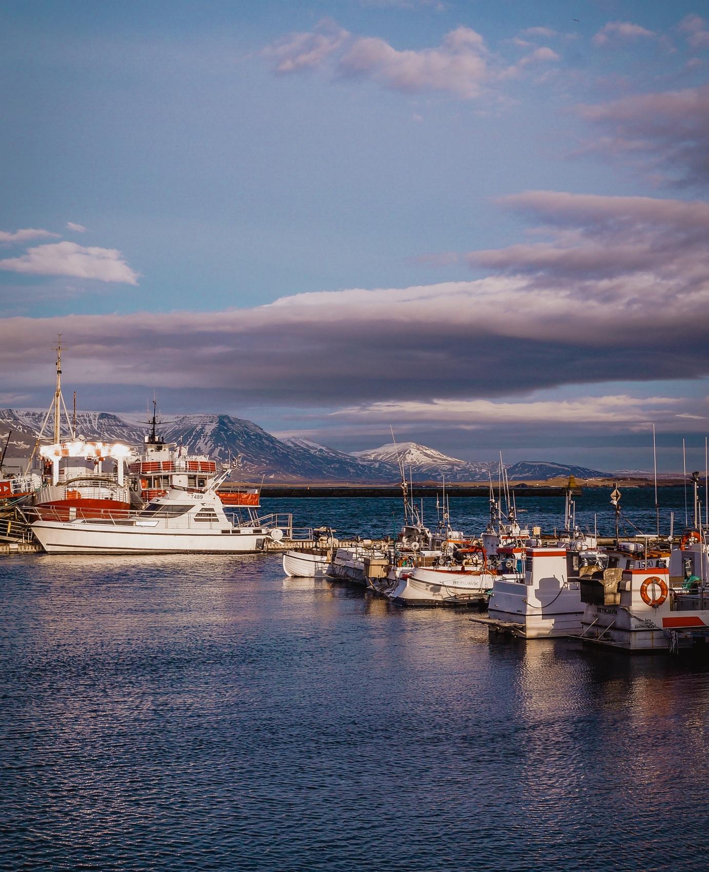 Reykjavik Old Harbour