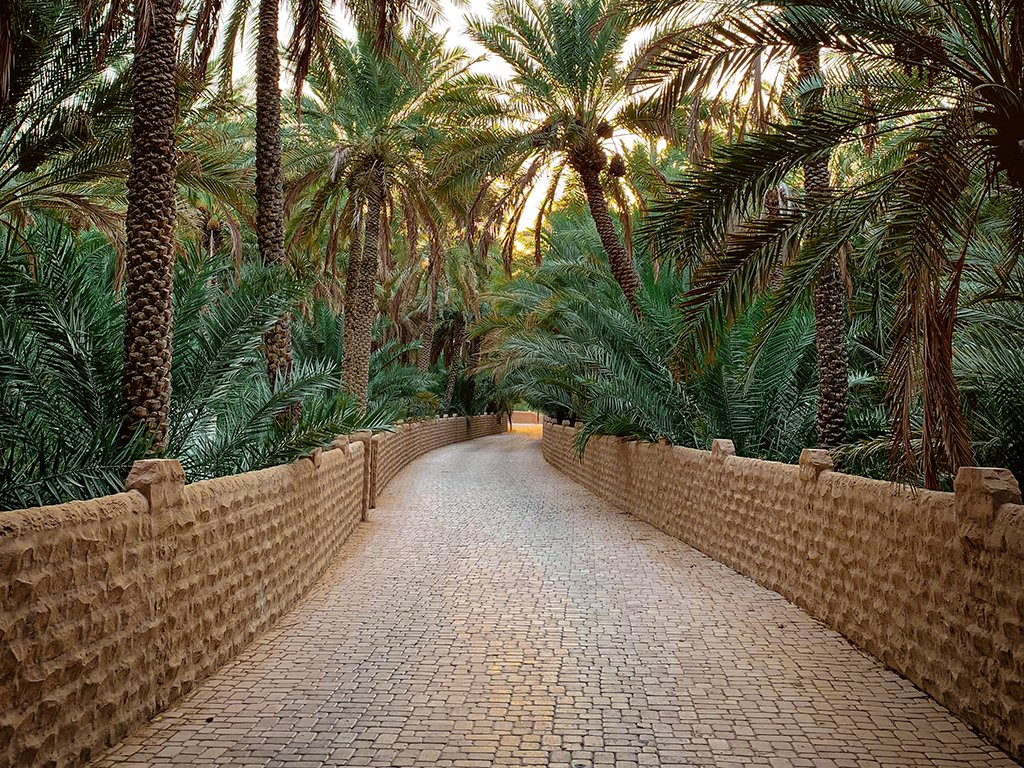 Shaded Walkway Archway