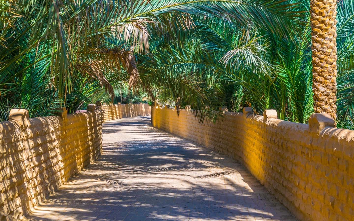 Mud-Brick Boundary Walls