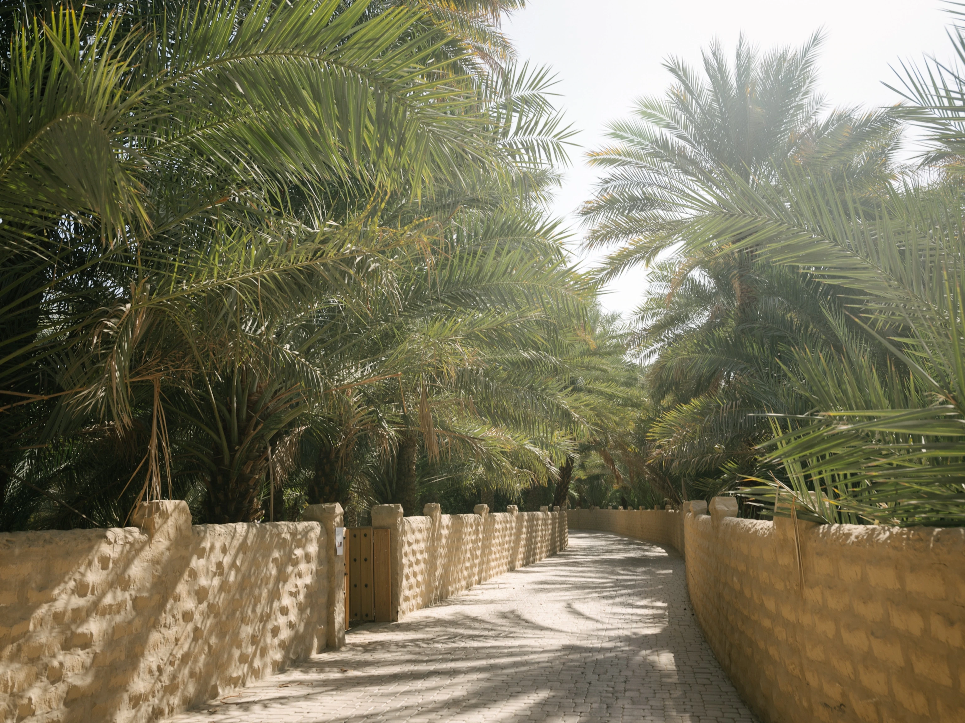 Palm Grove Main Corridor