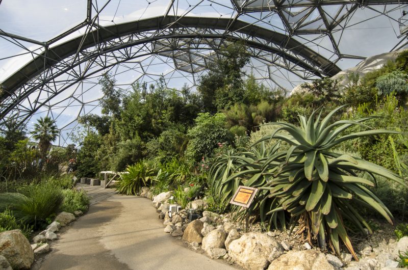 Mediterranean Biome