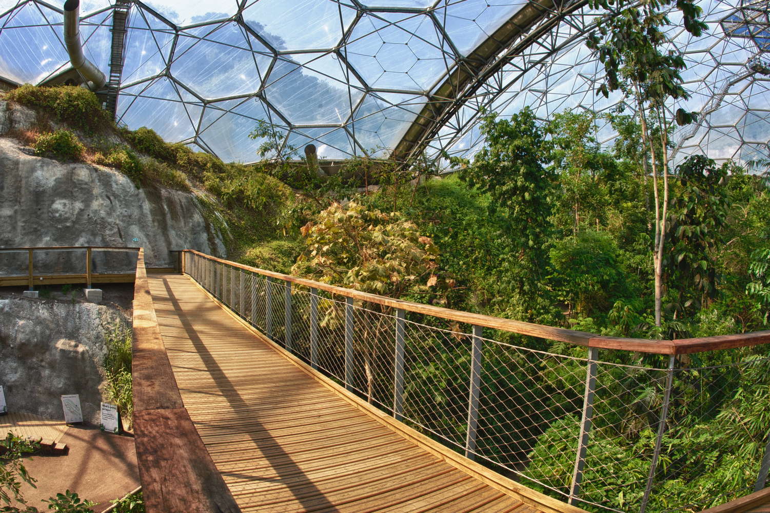 Rainforest Biome Perimeter Path