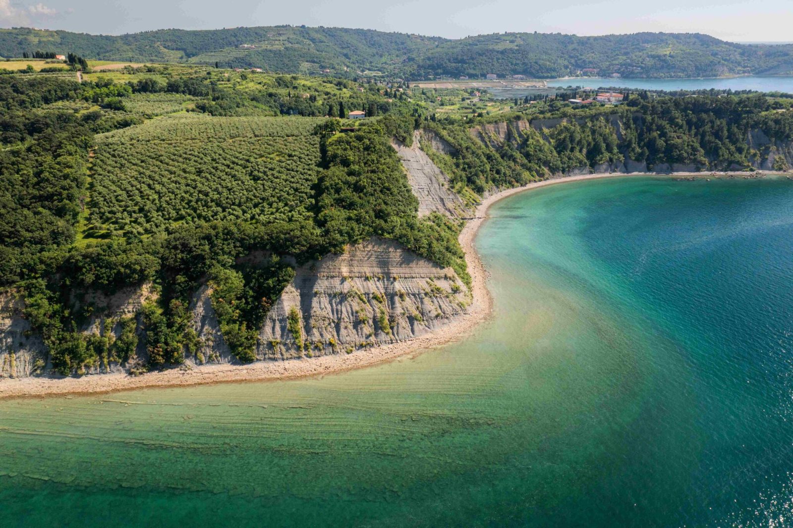 Strunjan Nature Reserve