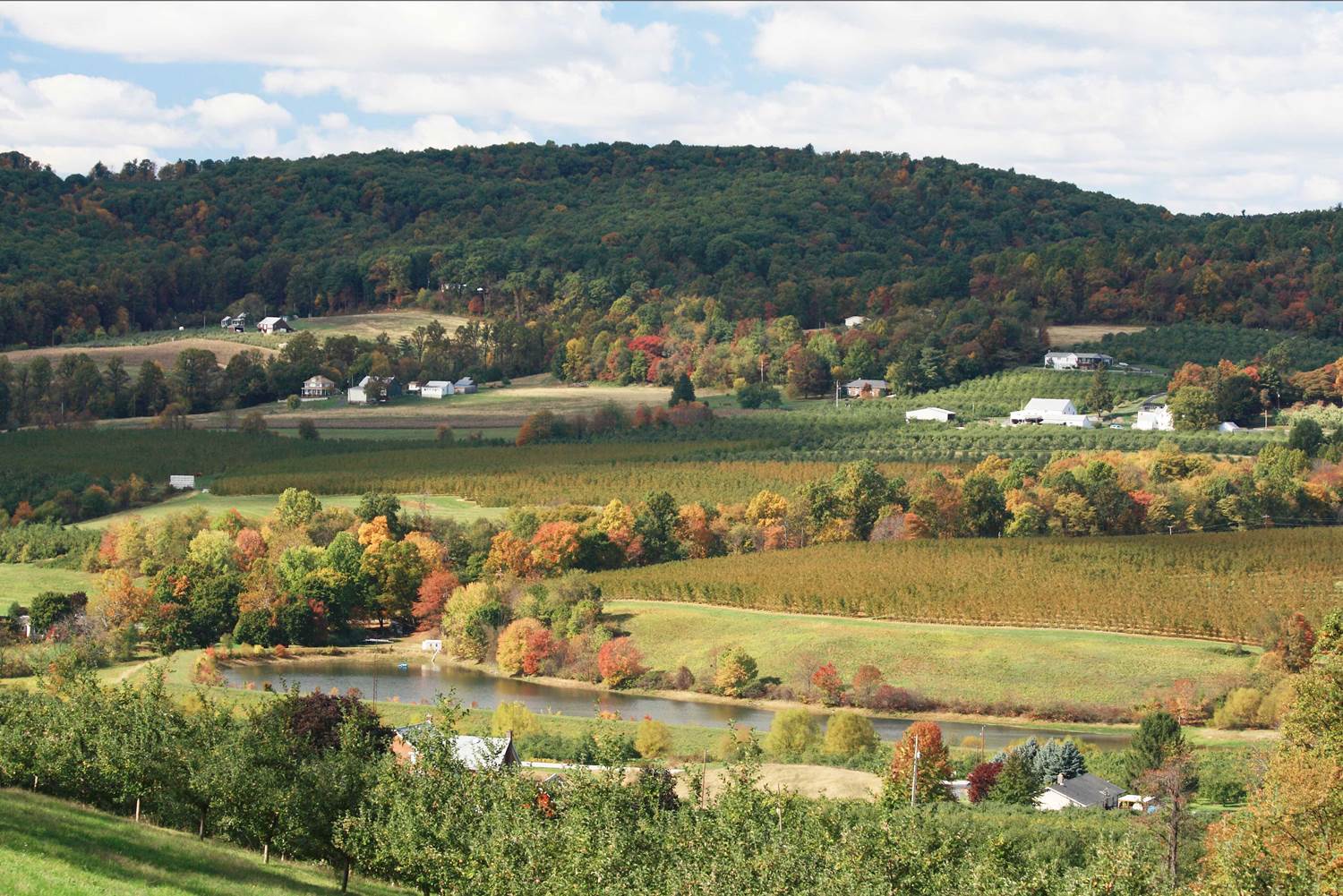 Gettysburg Countryside