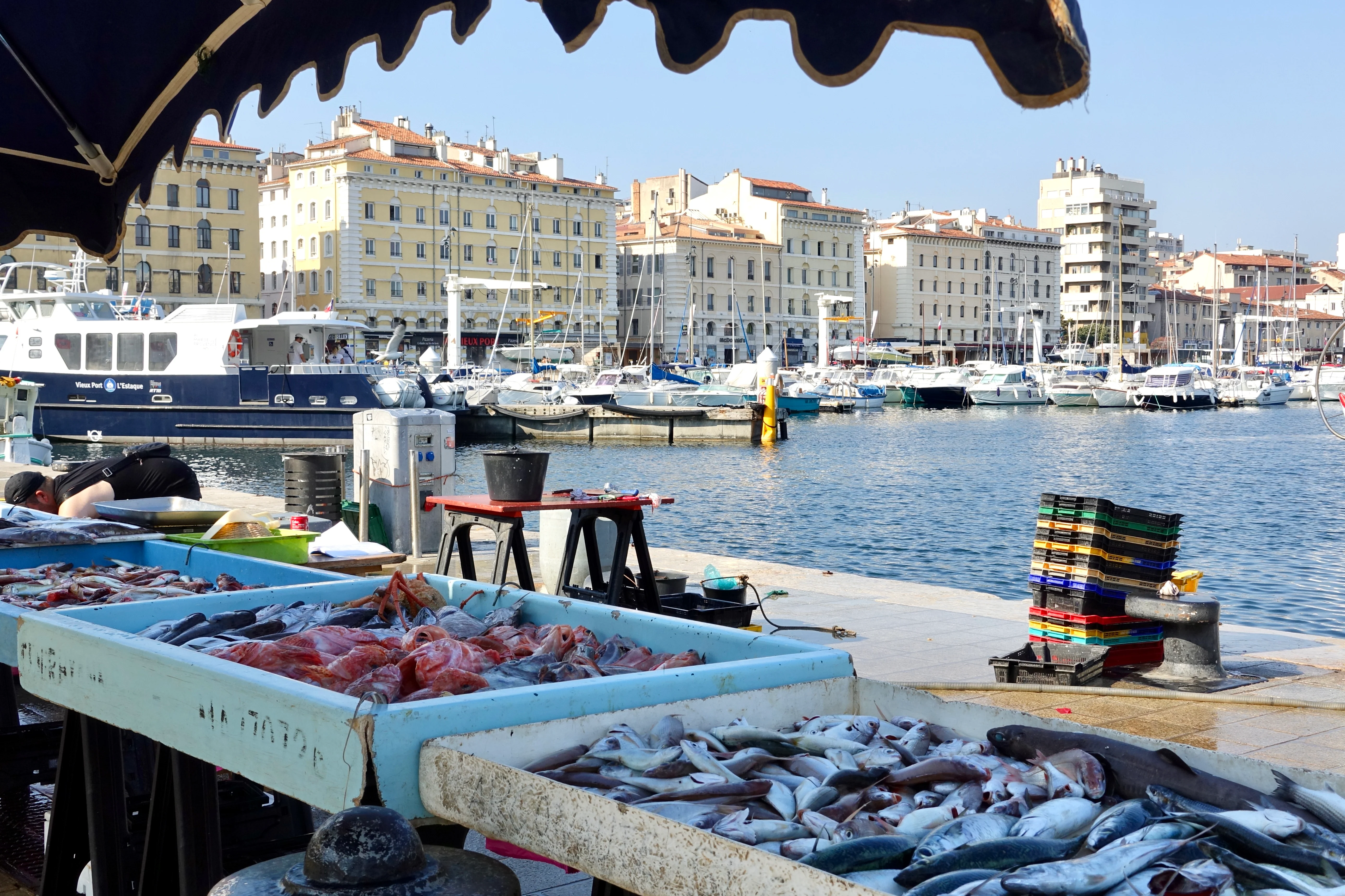 Vieux-Port Fish Market