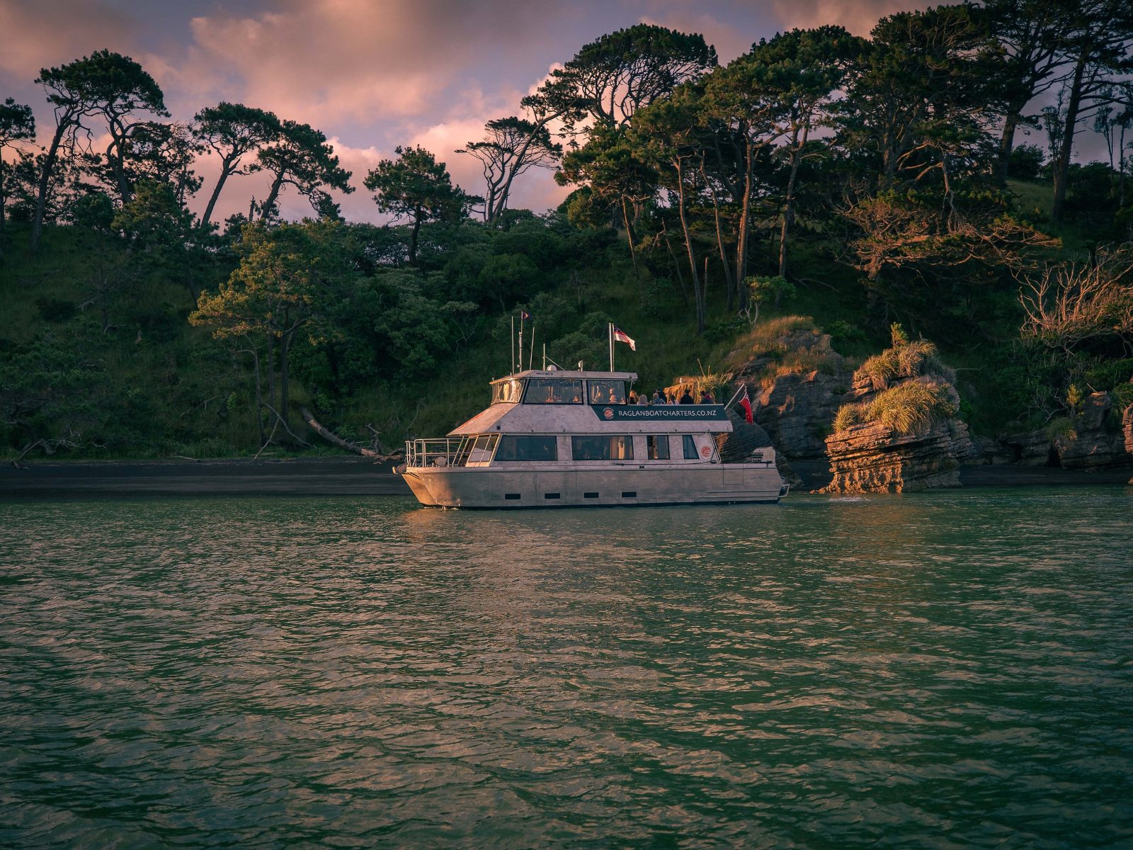 Raglan Harbour Cruises Prices