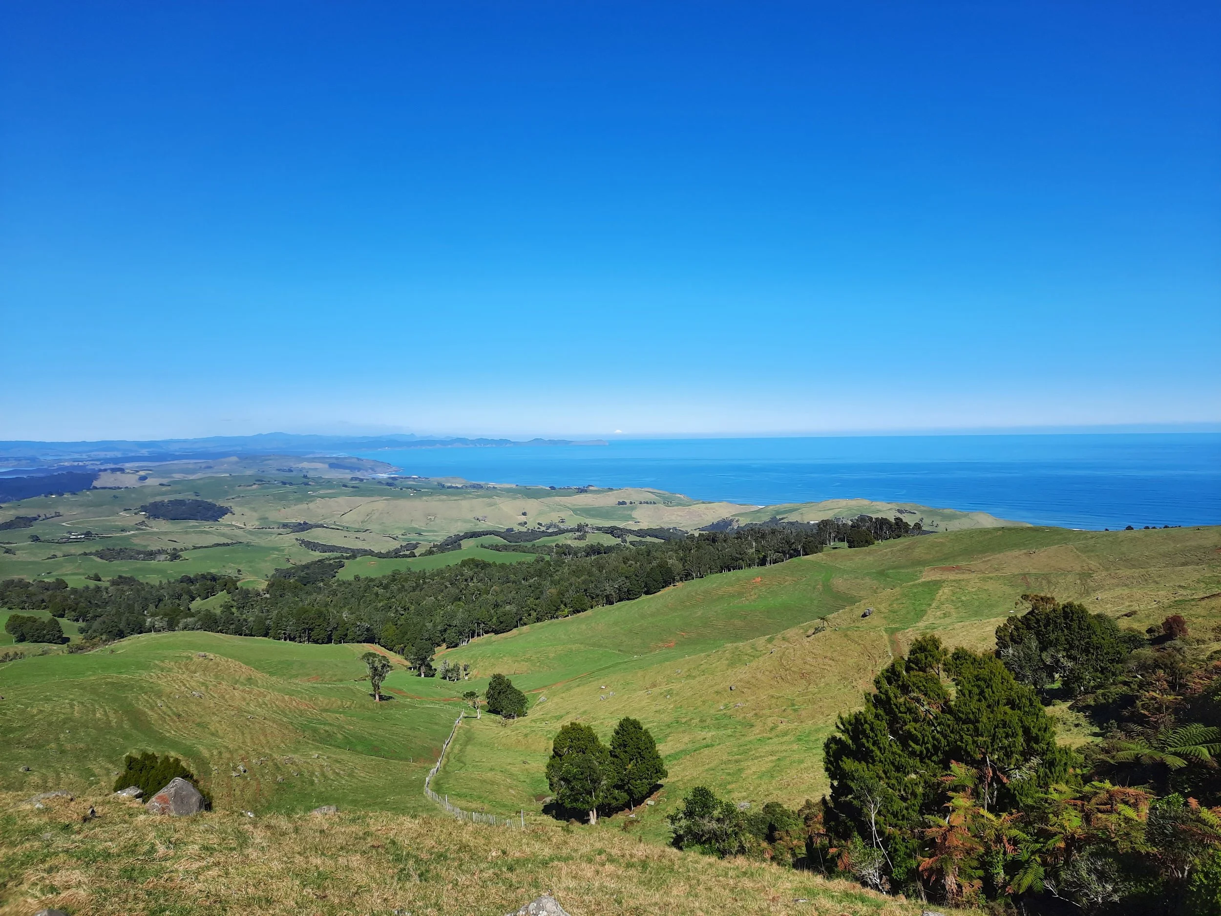 Karioi Lookout