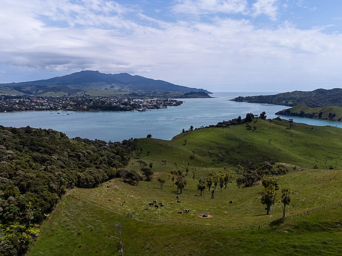 Whaingaroa Harbour