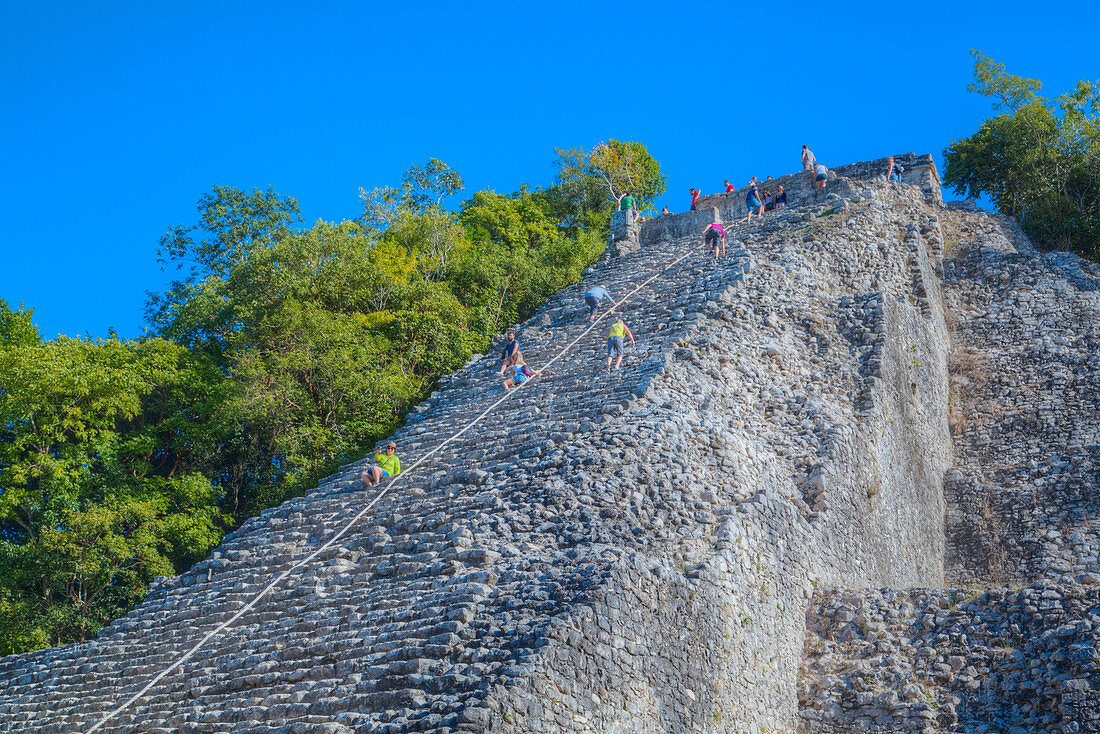 Tikal Sunrise Tour From San Ignacio