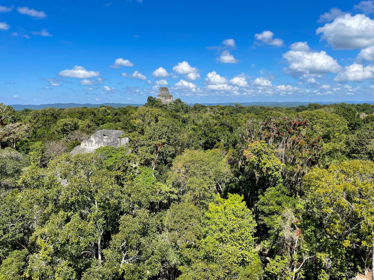 Temple IV Summit