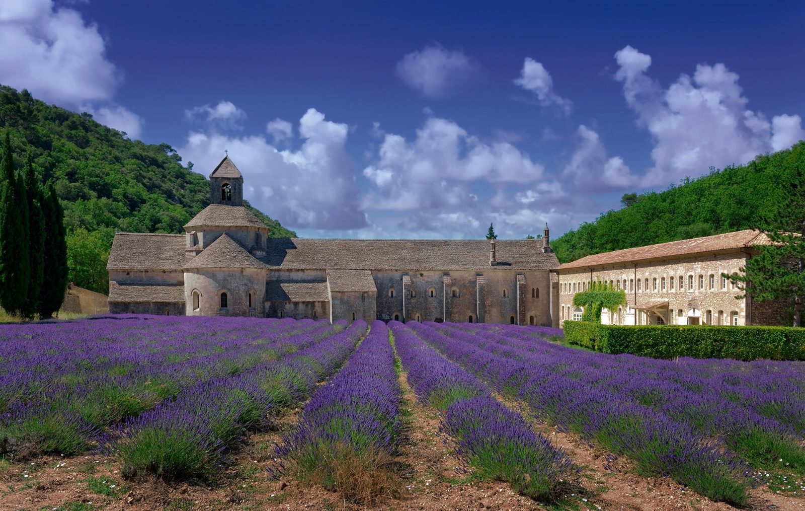 Abbaye de Senanque