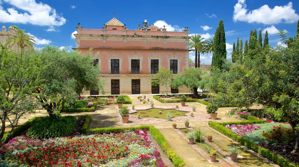 Gardens and Olive Trees