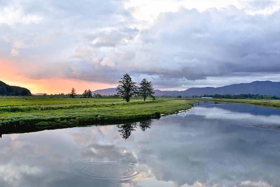 Tillamook