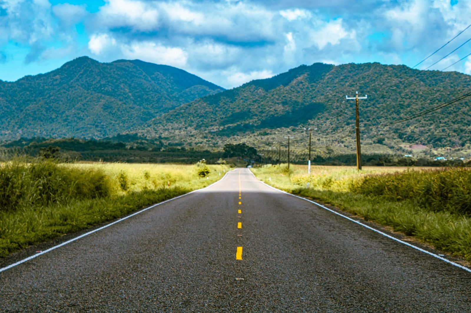Hummingbird Highway Viewpoint