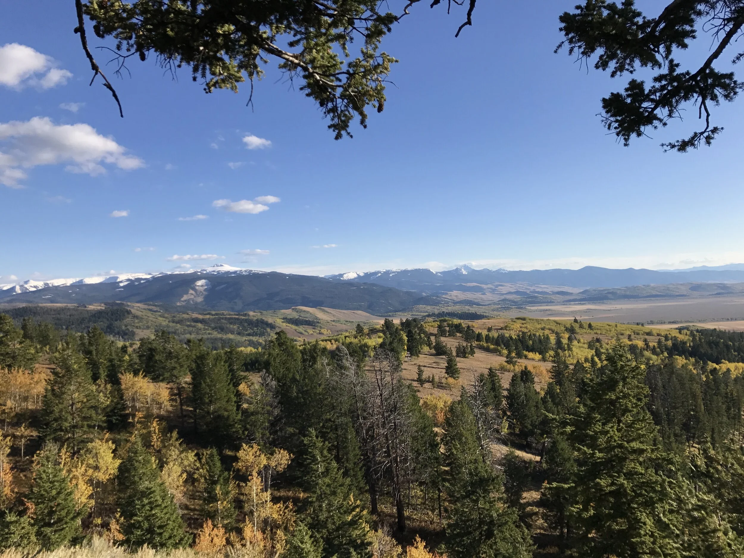 Shadow Mountain