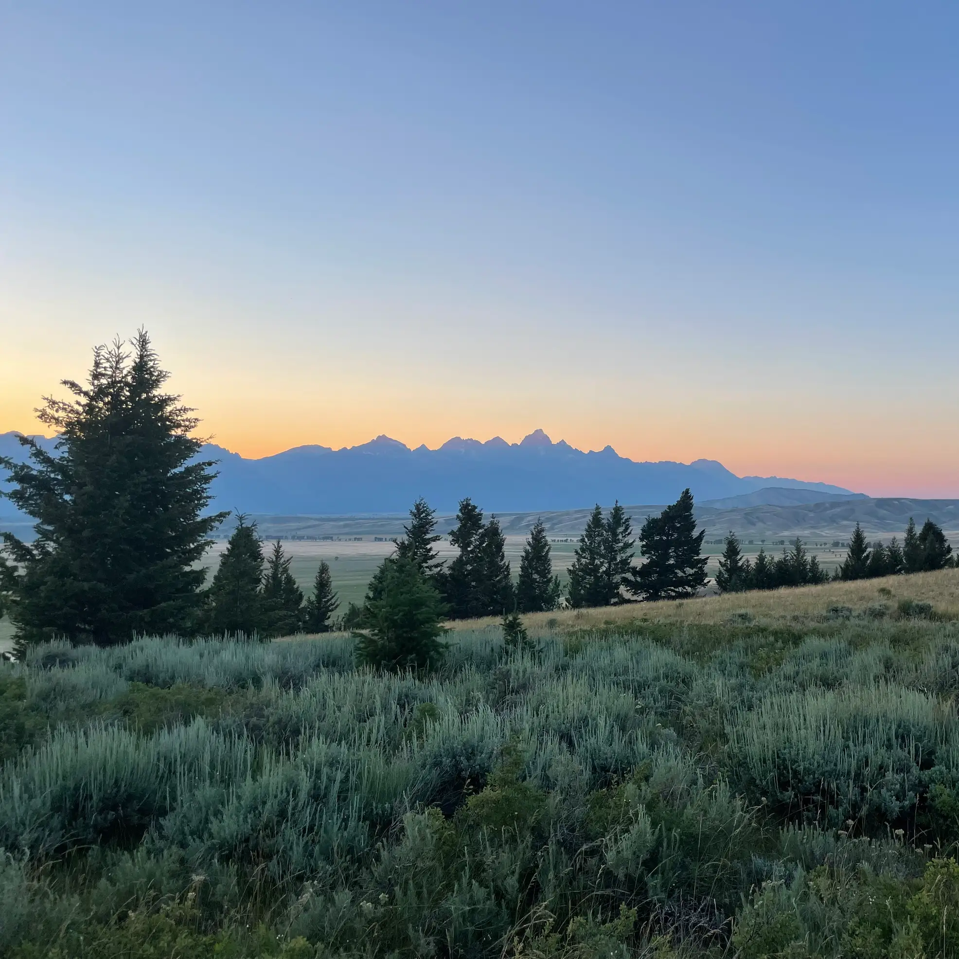 Curtis Canyon Overlook