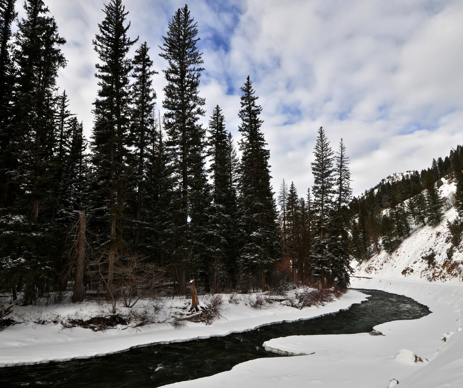 Greys River
