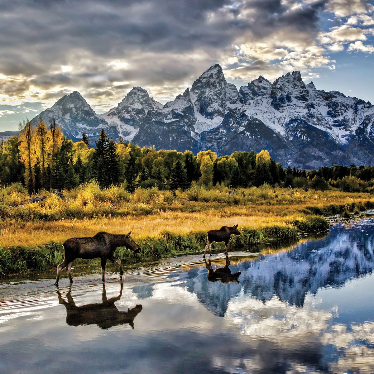 Jackson Hole Razor Rentals