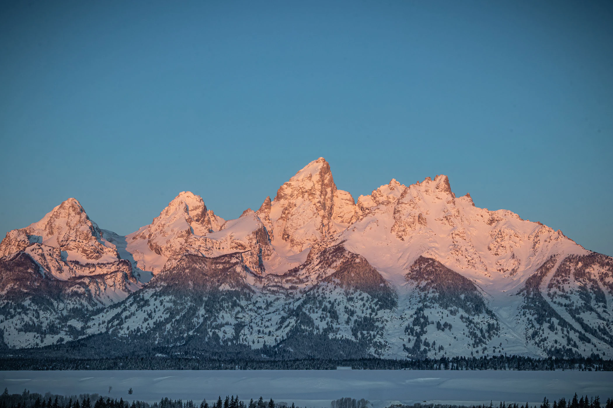 National Elk Refuge, Jackson