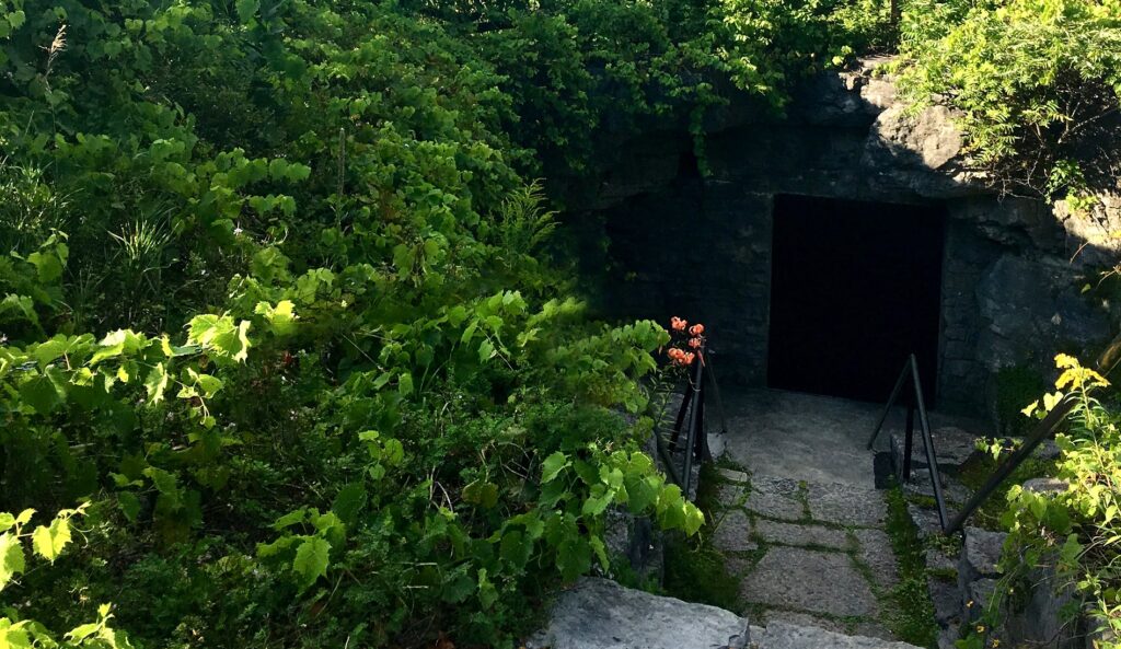 Hastings Cave Entrance