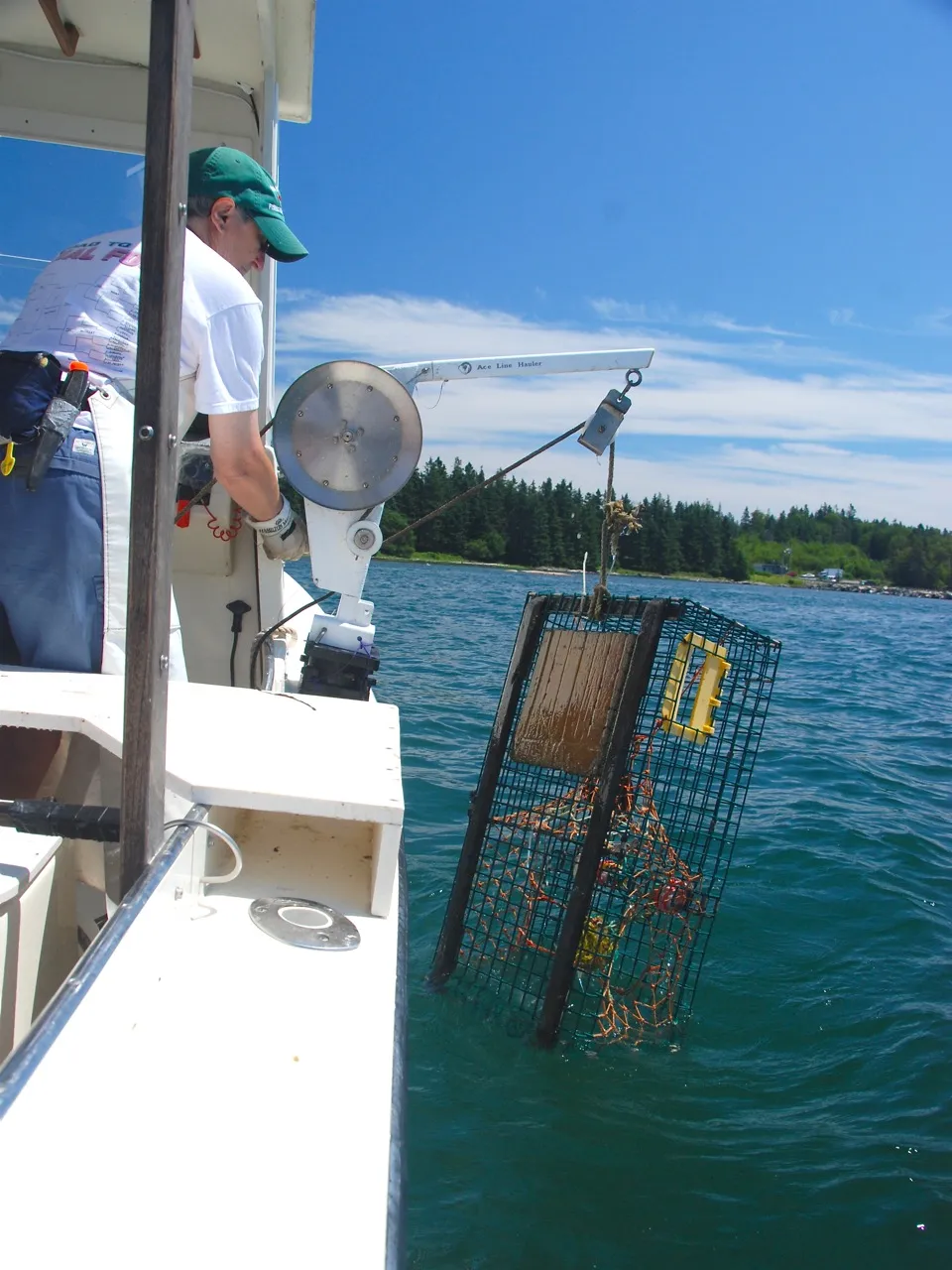 Bar Harbor Maine Lobster Boat Tours