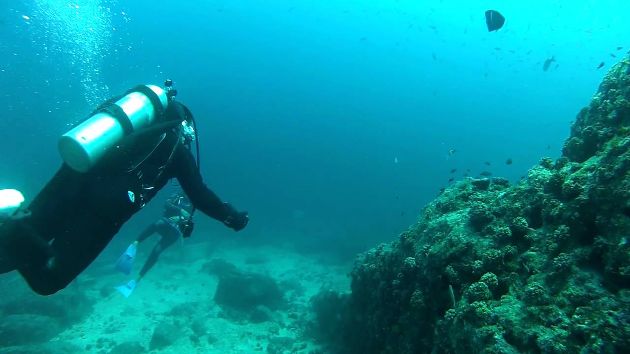 El Bajo
