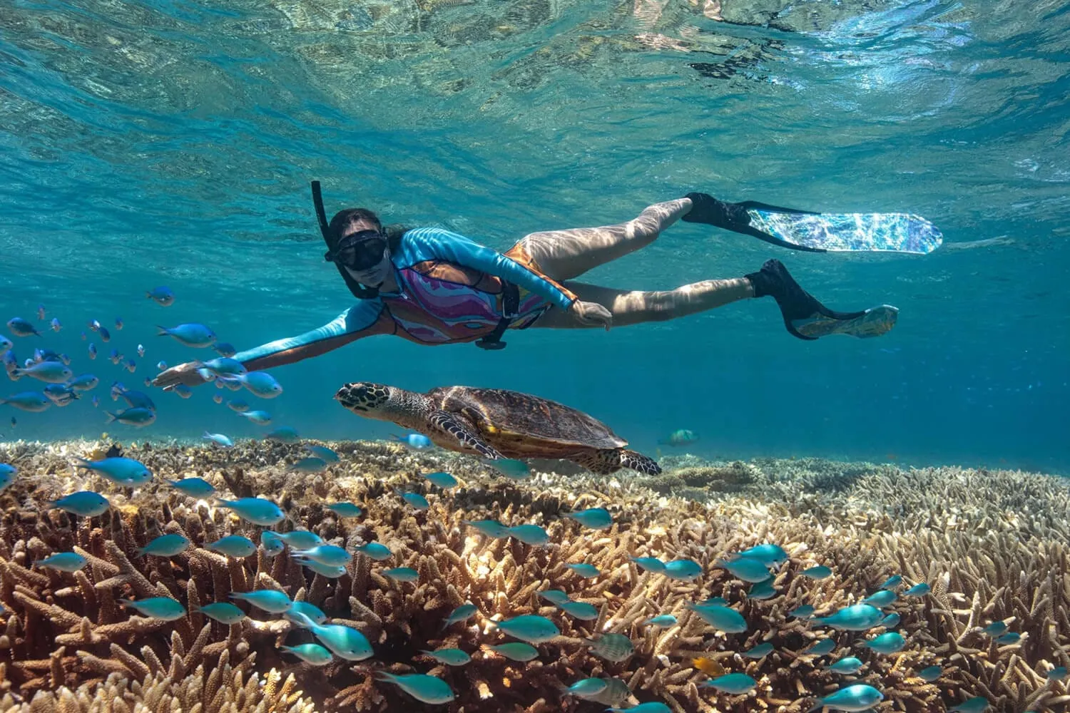 Koh Kood Snorkeling Tour