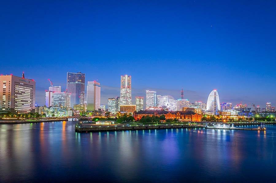 Osanbashi Pier Rooftop