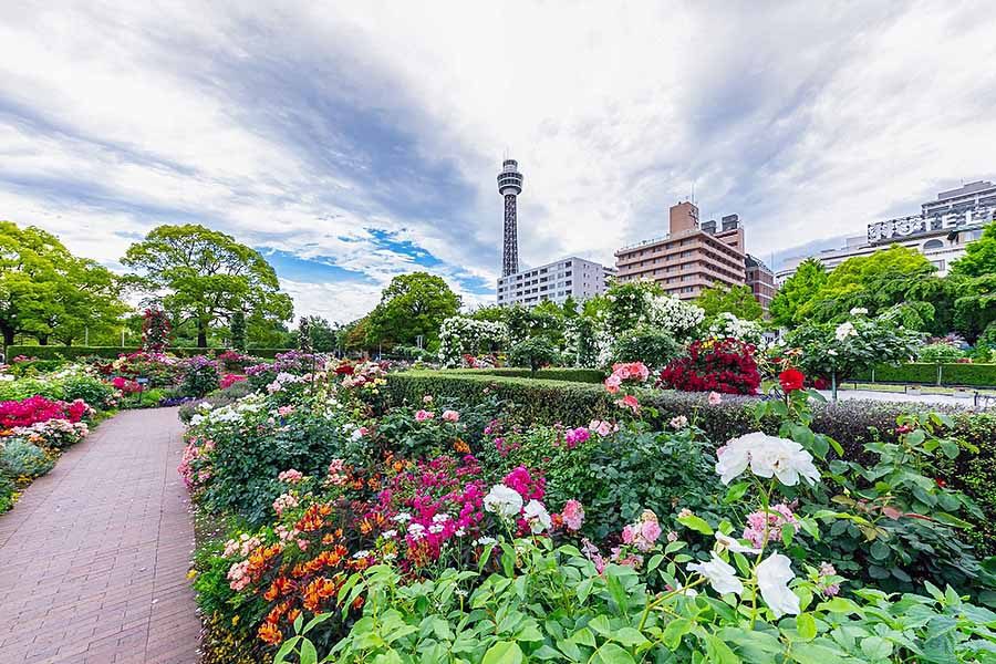 Yamashita Park