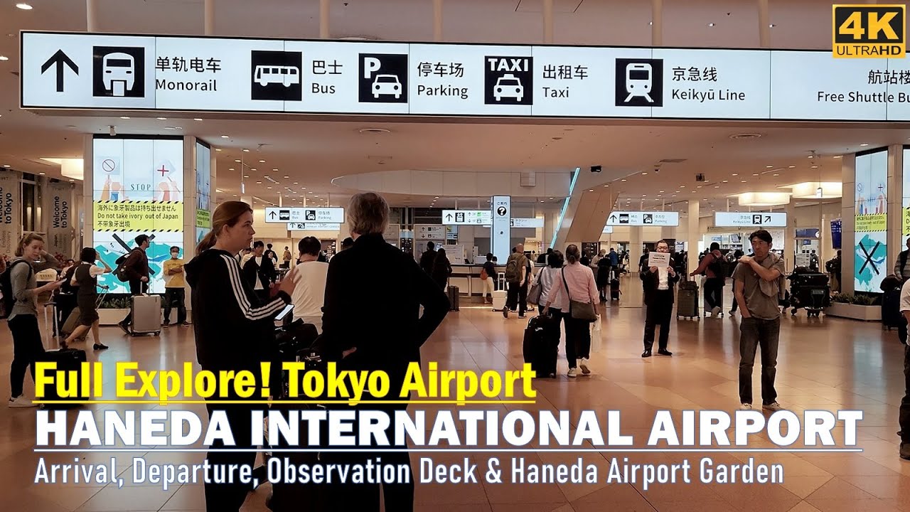 Yokohama Port to Haneda Airport
