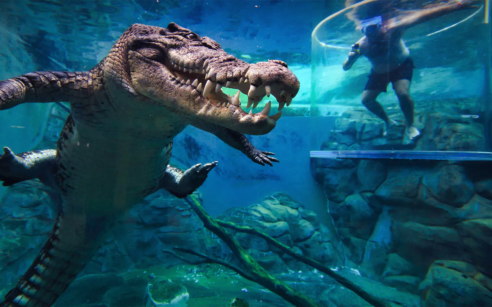 Aquarium Zone