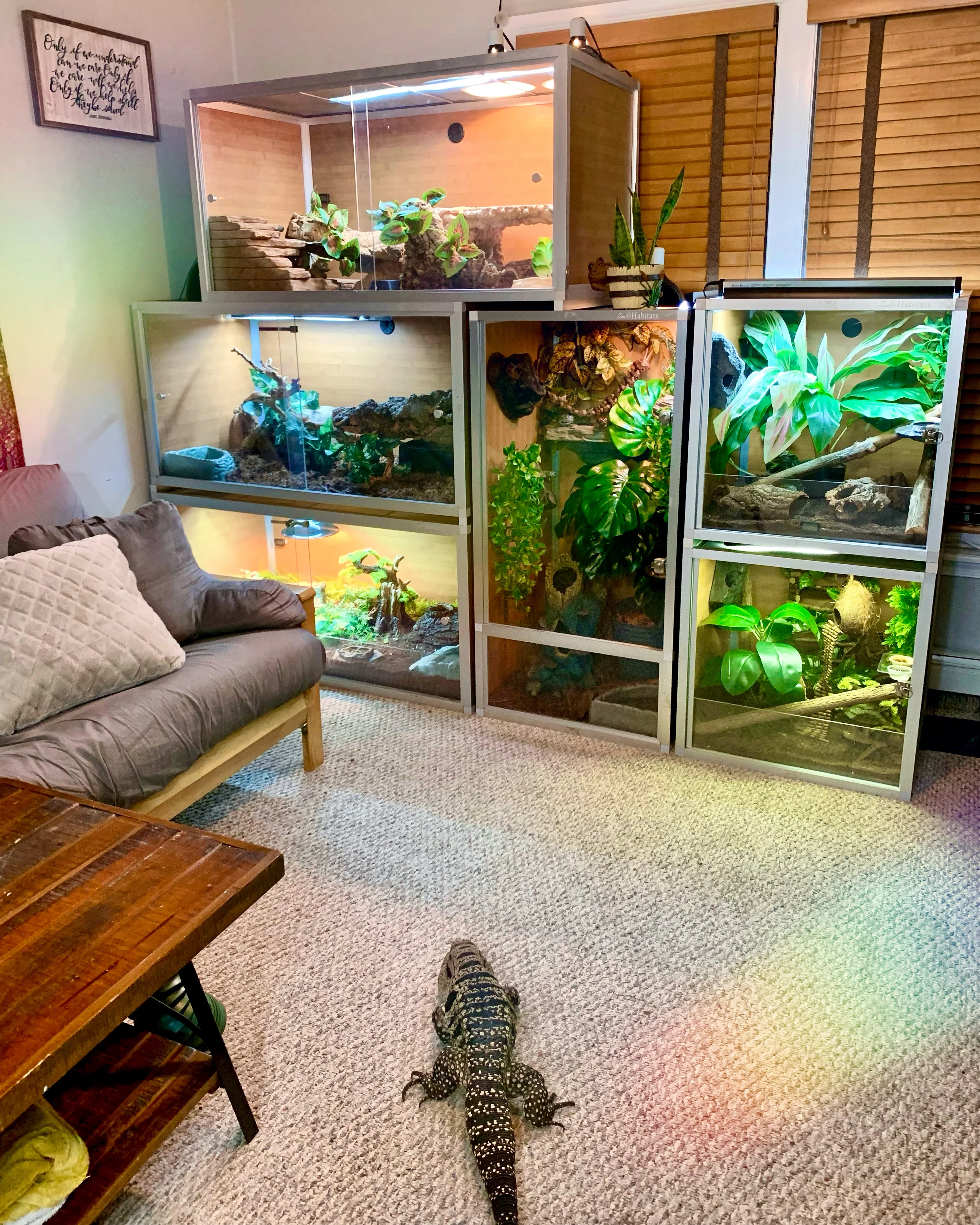 World of Reptiles