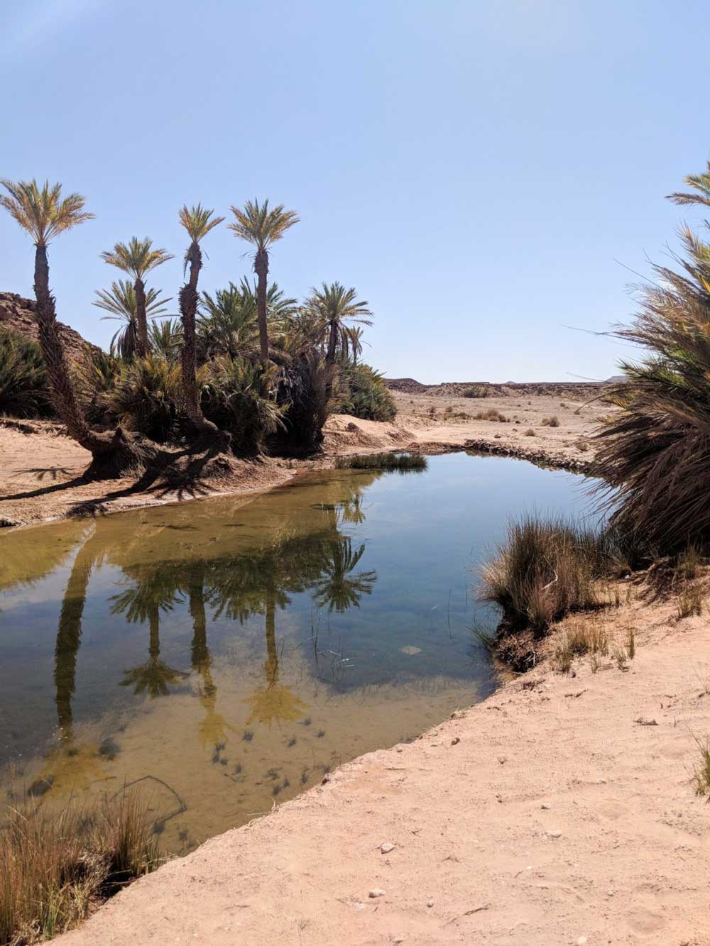 Tissardmine Oasis