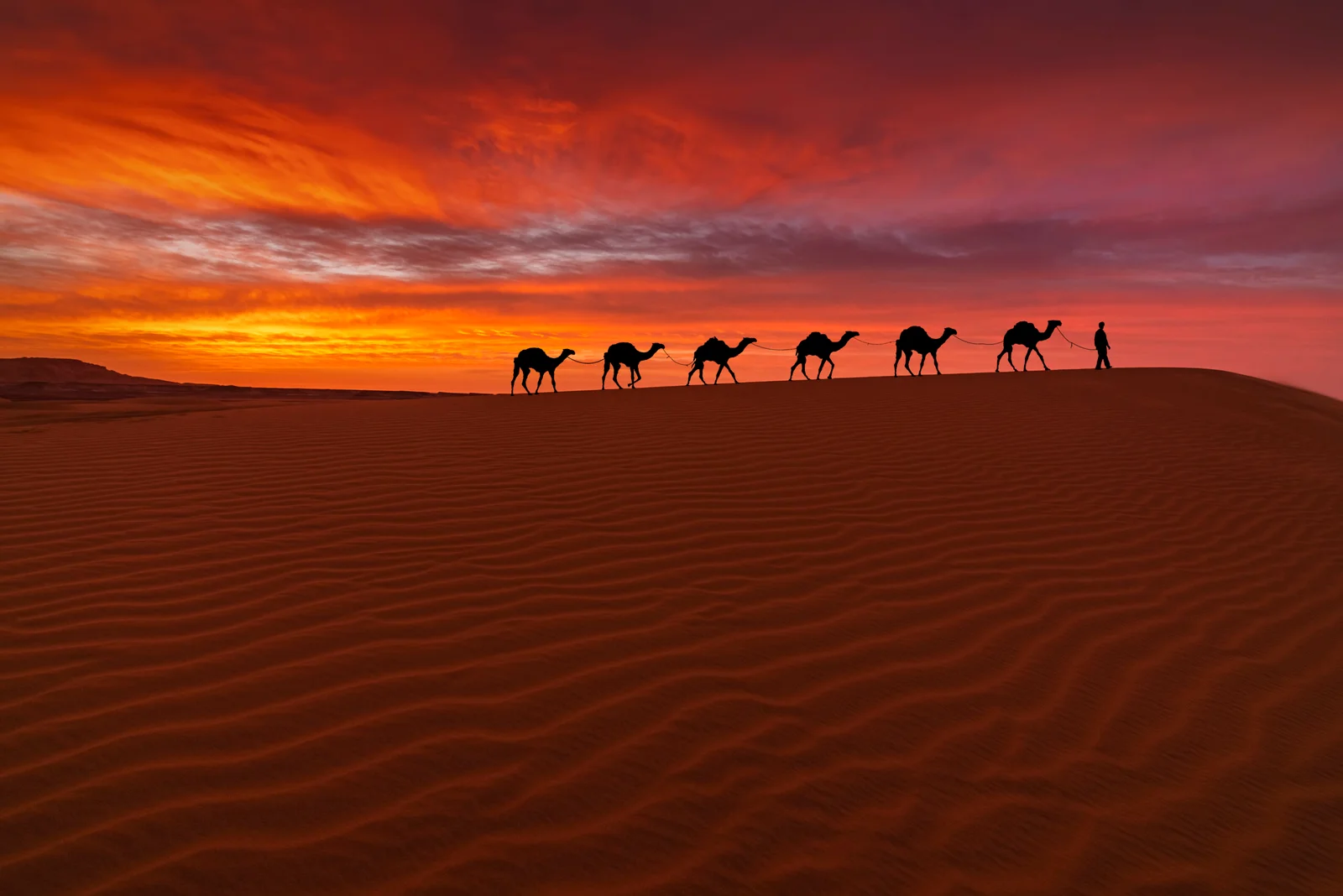 Merzouga Camel Caravan Trail