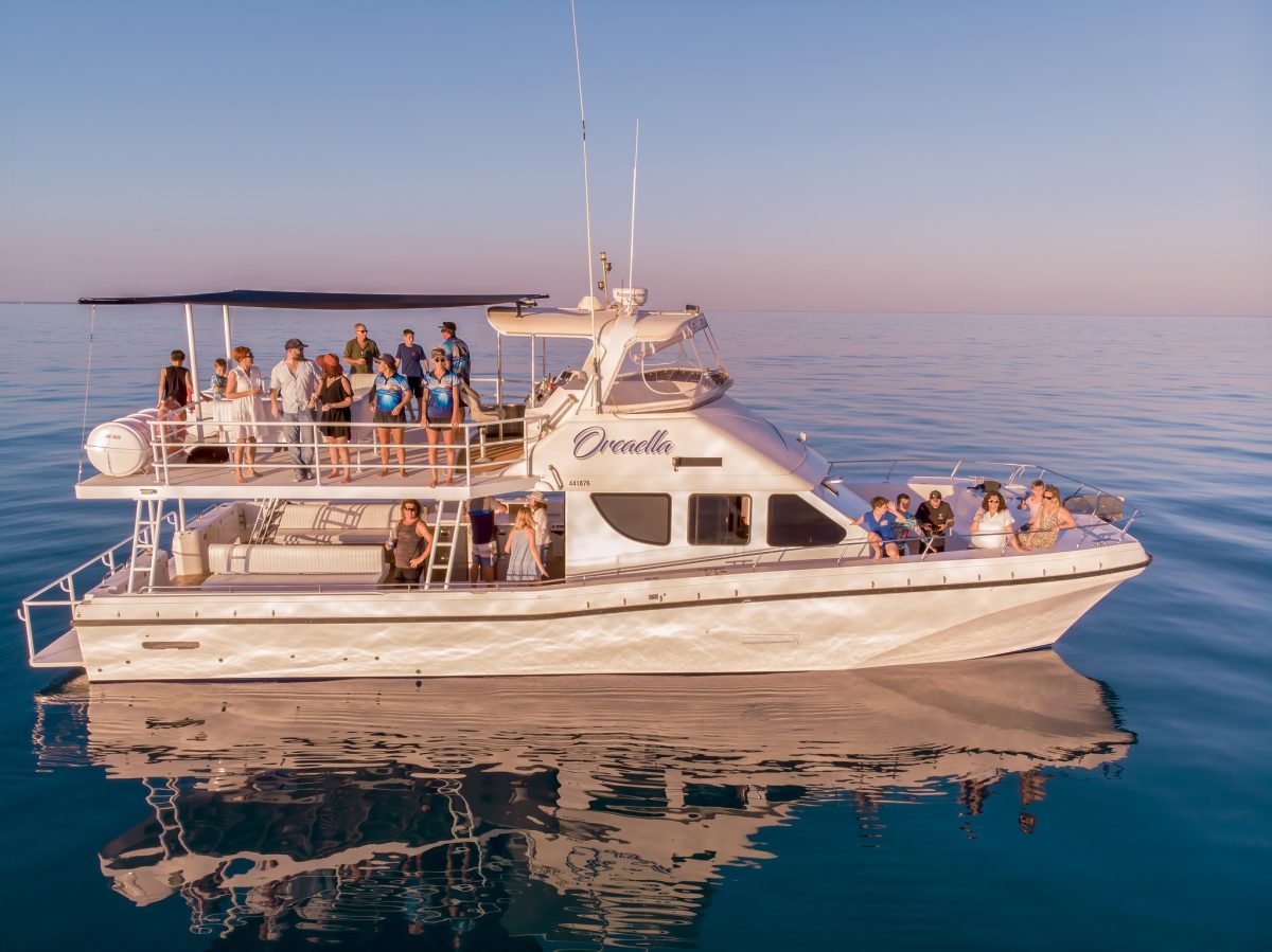 Orcaella Catamaran