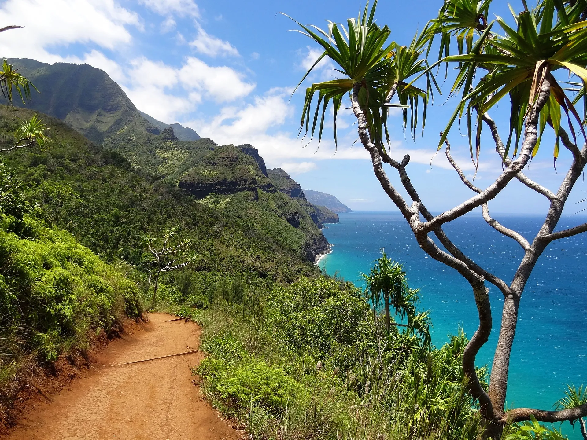 Coastal Dirt Trails