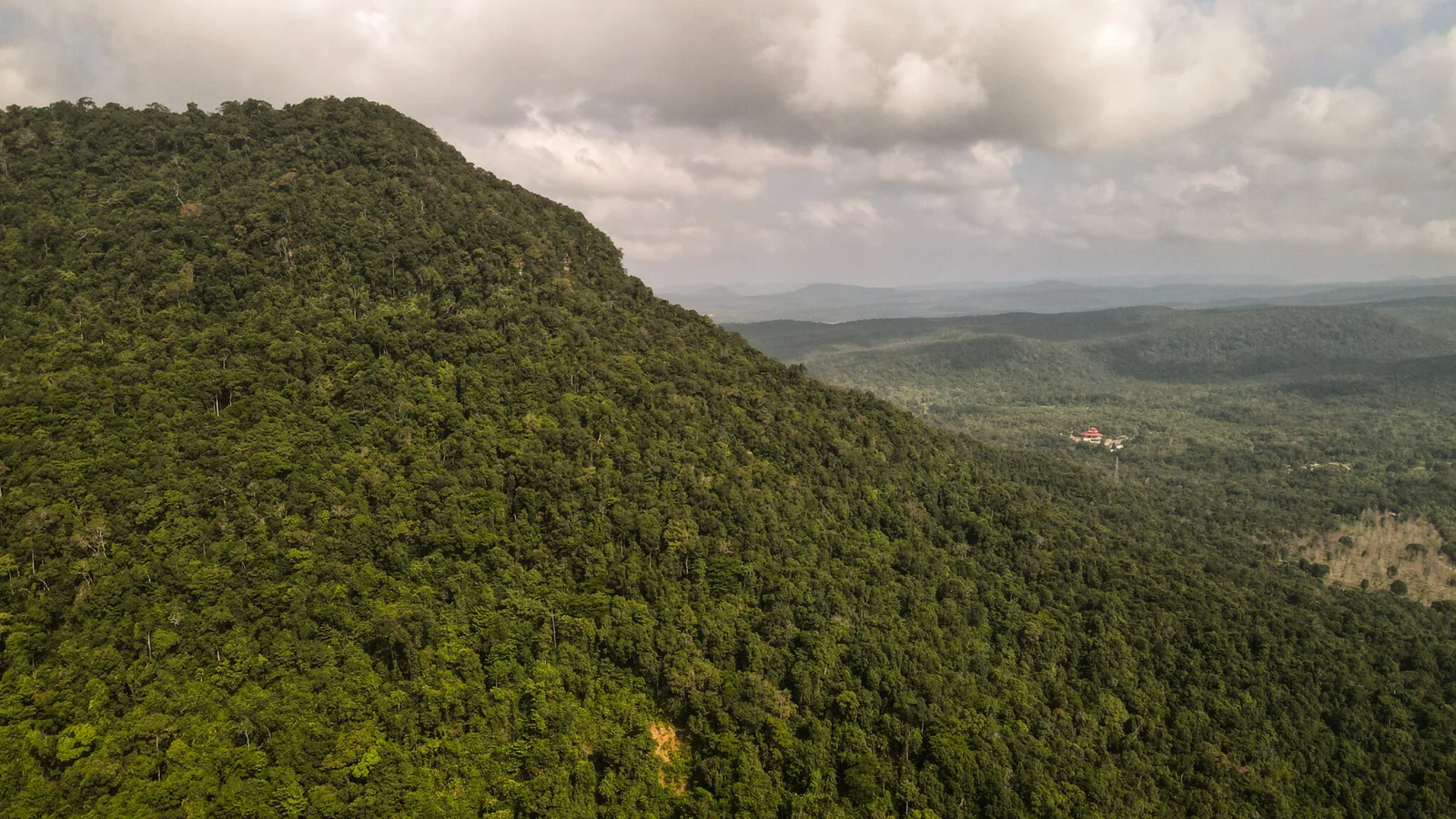 Lower Slope Canopy Edge