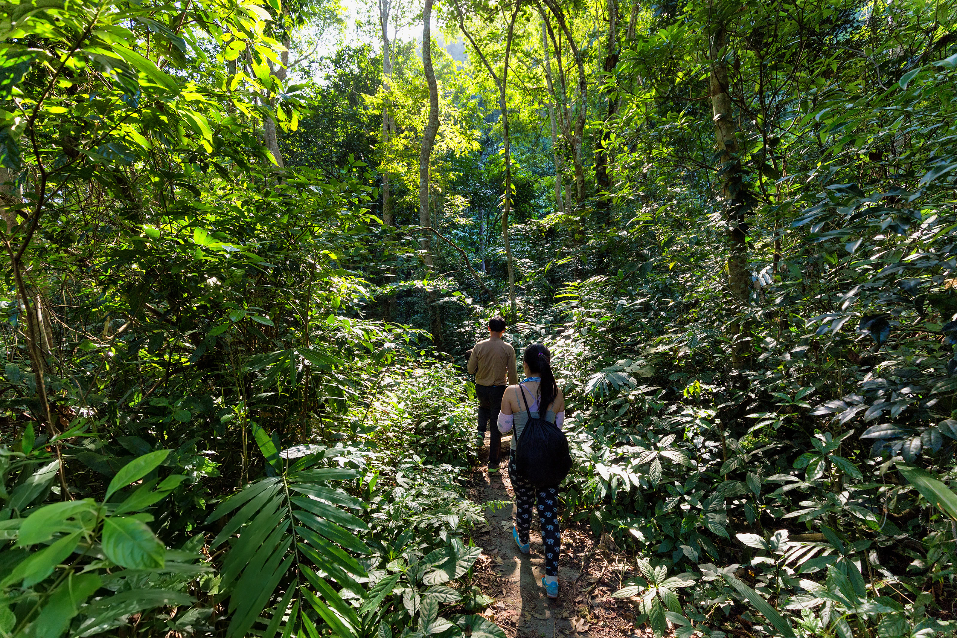 Phu Quoc National Park Trekking Tour