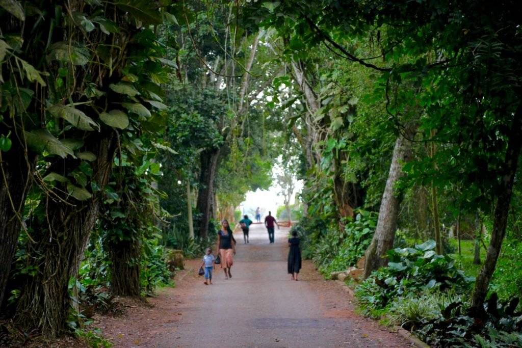 Aburi Botanical Gardens Tours