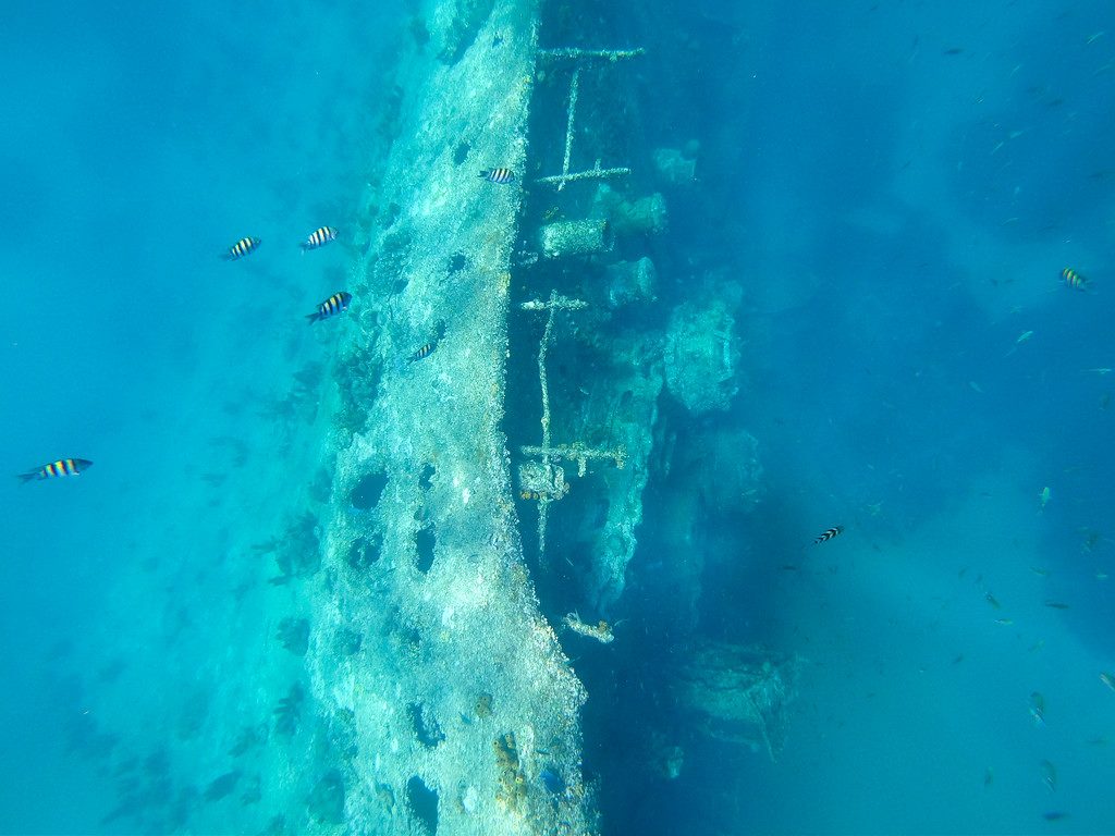 Antilla Hull Section