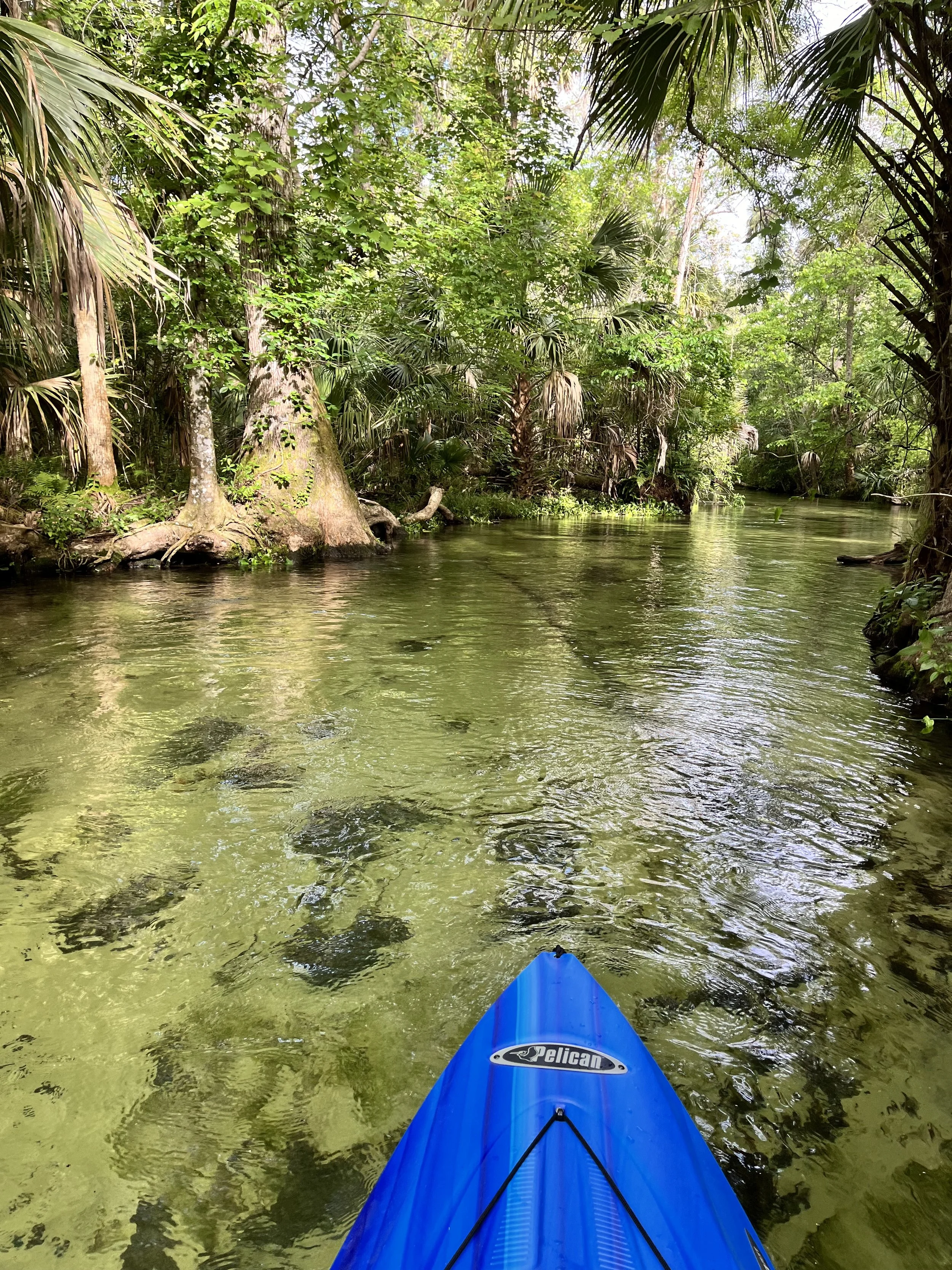 The Sandbar Bend