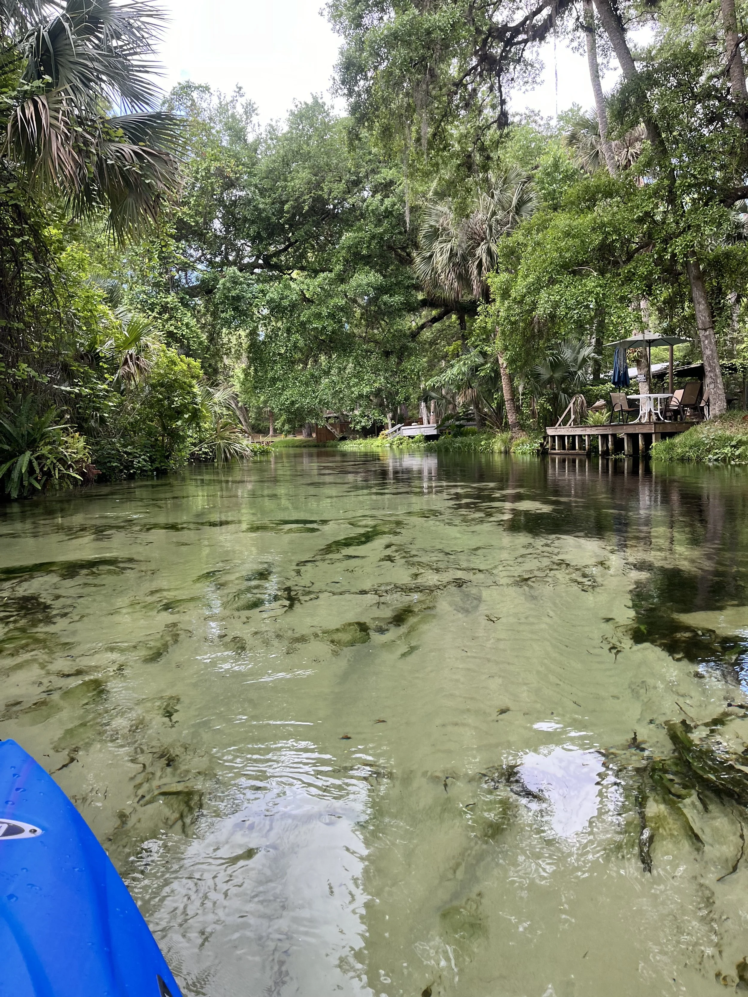 Canopy Tunnel